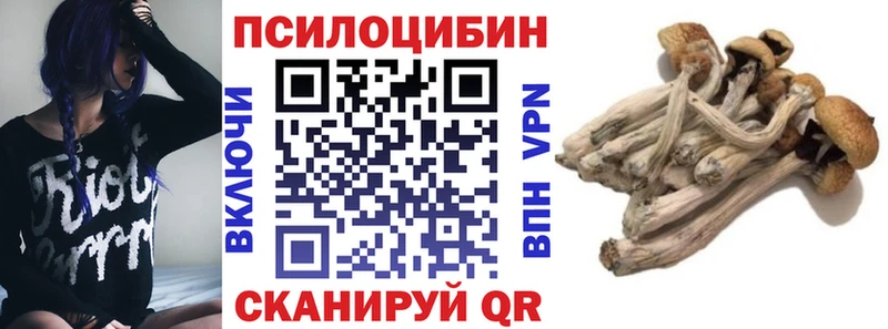 Псилоцибиновые грибы GOLDEN TEACHER  Купить  Учалы 